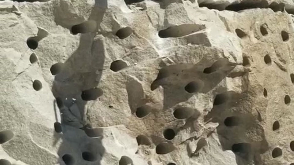 Horizontal Applications 03